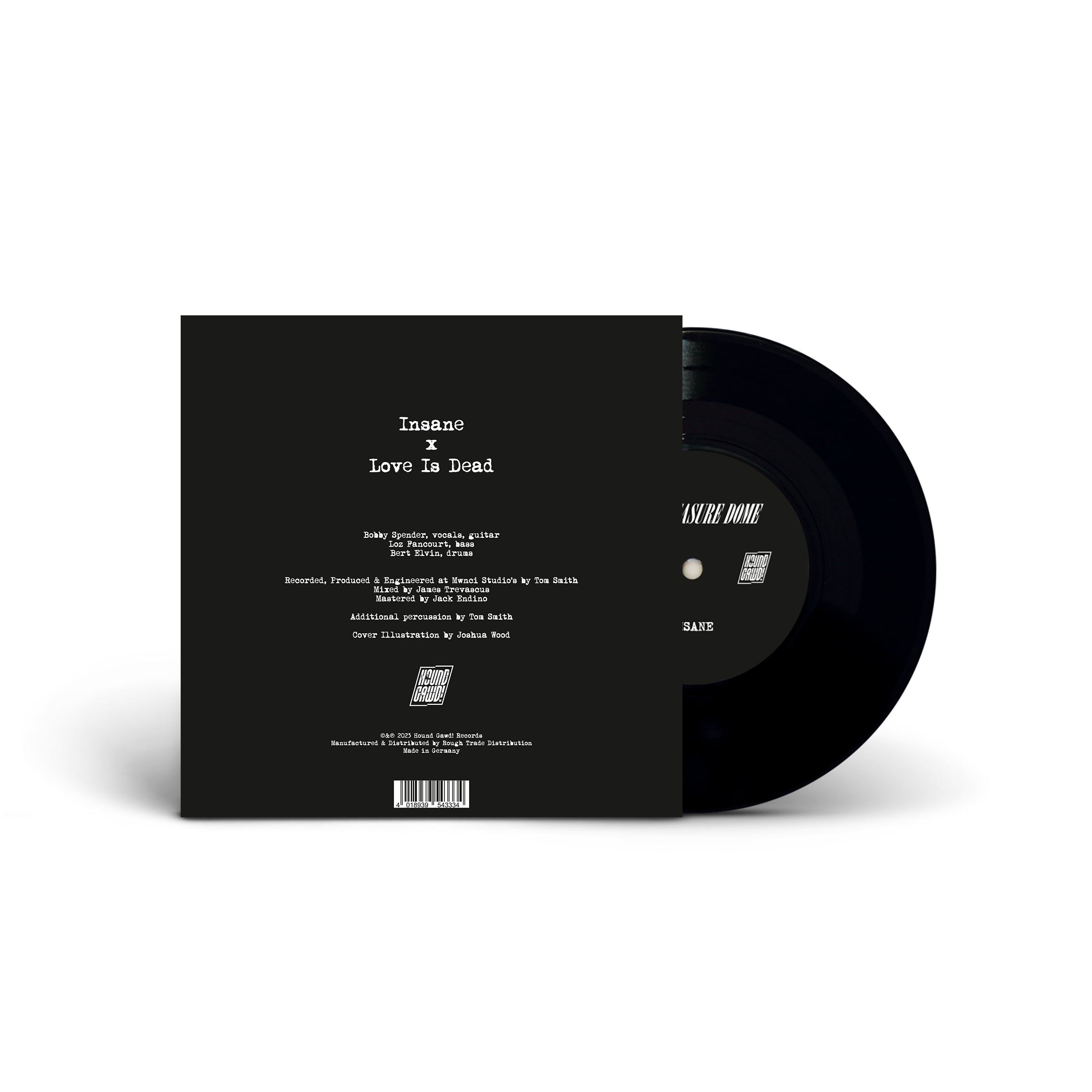 THE PLEASURE DOME - INSANE