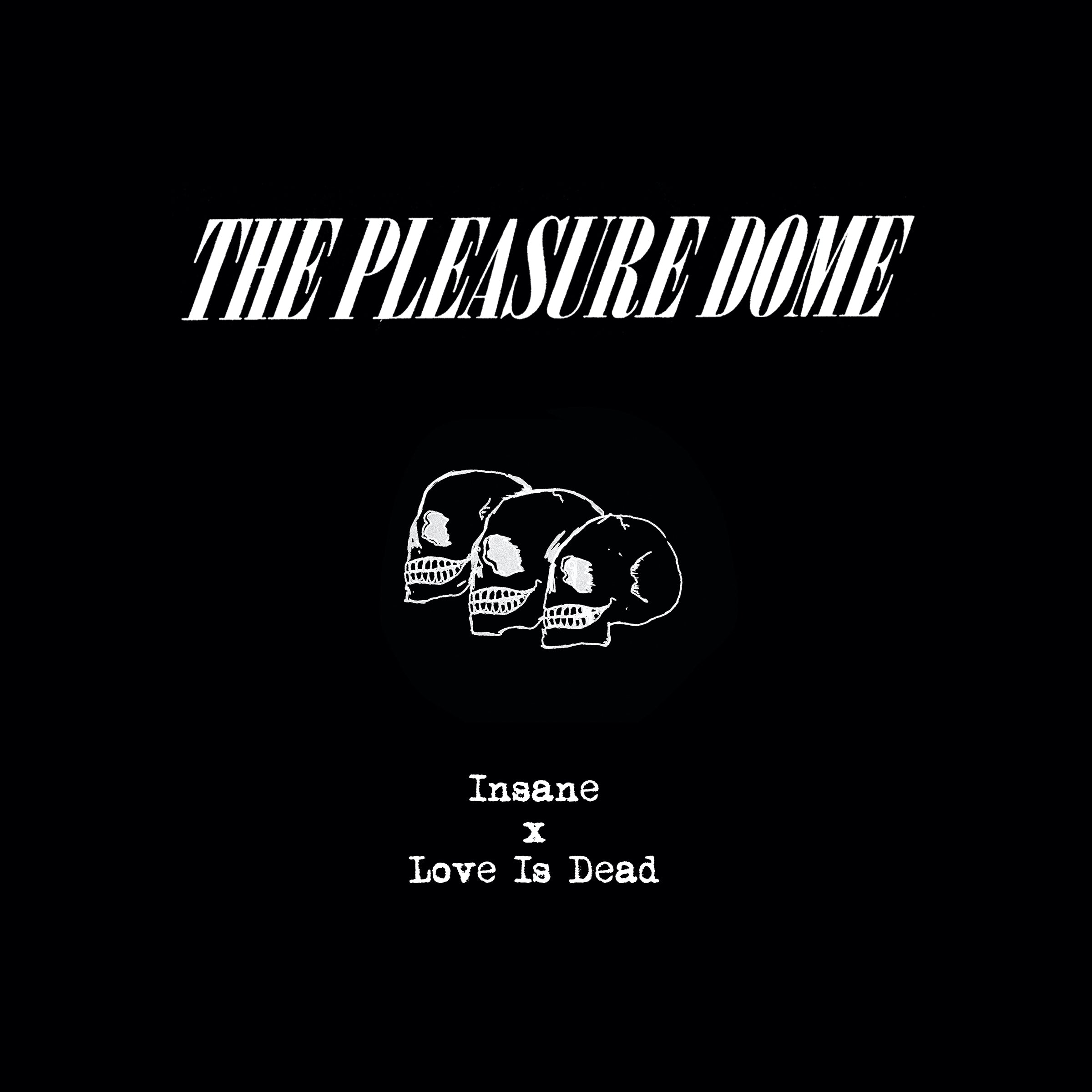 THE PLEASURE DOME - INSANE