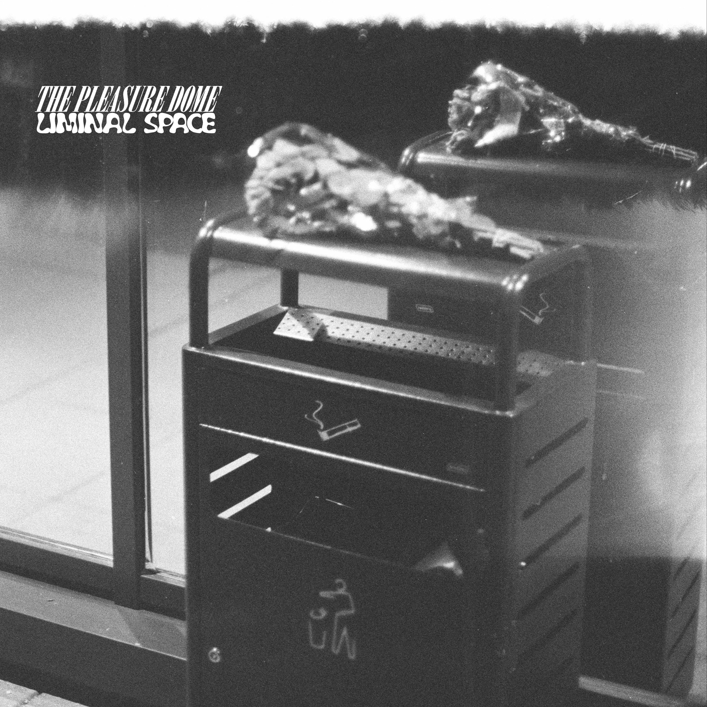 THE PLEASURE DOME - LIMINAL SPACE (ltd)